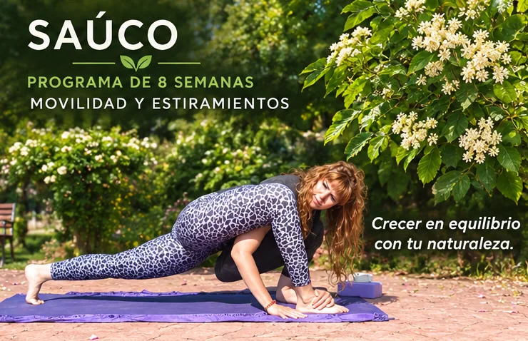 Programa Saúco, 8 semanas